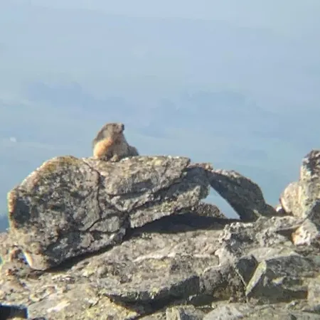 La Grange De La Gratade *