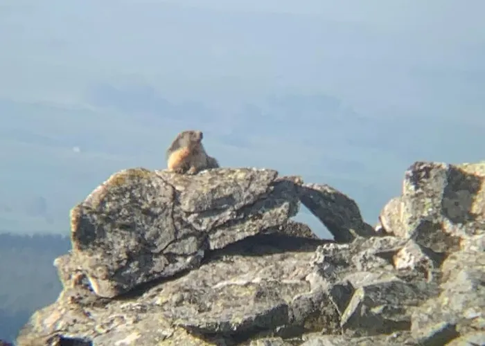 La Grange De La Gratade *