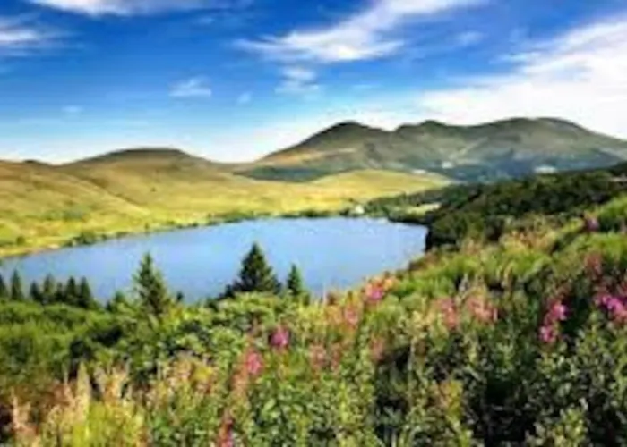 La Grange De La Gratade Rochefort-Montagne